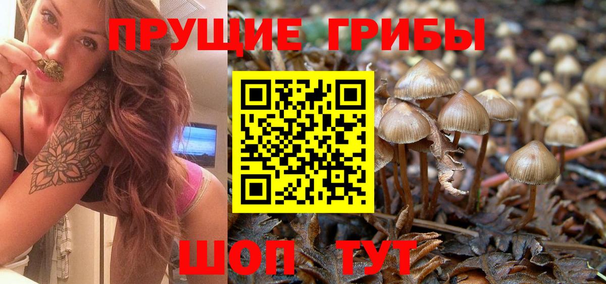 Кушва  Псилоцибиновые грибы GOLDEN TEACHER  где купить наркотик  Вход с VPN 